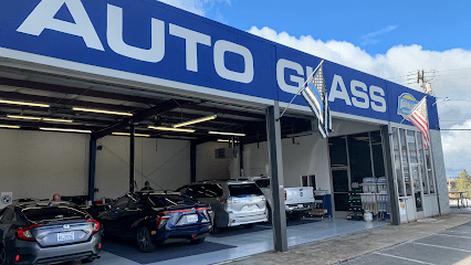 Negocio Absolute Auto Glass