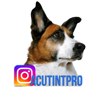 Negocio Acutintpro