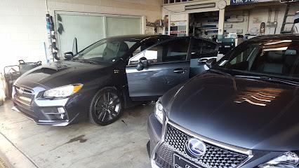 Negocio Alpha Tint(Window Tint)