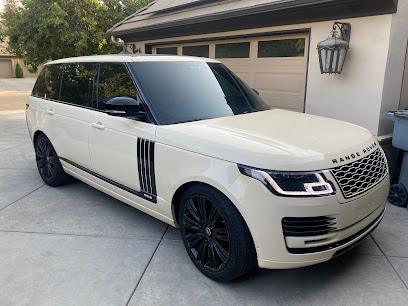 Archies Tint