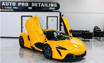 Negocio Auto Pro Detailing, Paint Protection, Coating &Amp; Tinting Fremont