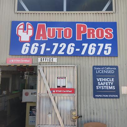 Negocio Auto Pros