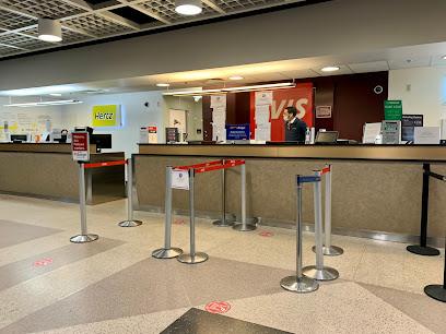 Avis Car Rental