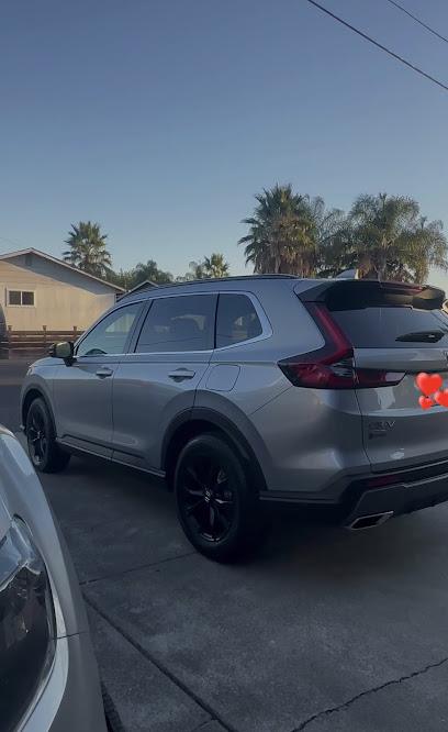 Negocio Blackout Window Tinting