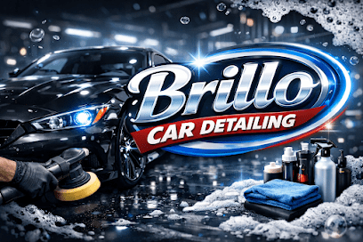 Negocio Brillo Car Detailing Service
