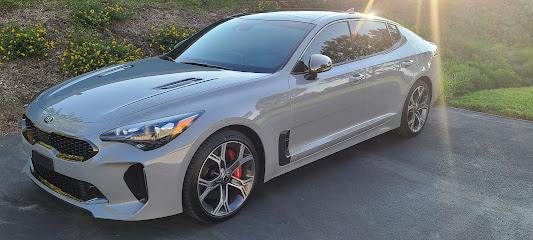 Negocio Elite Window Tinting