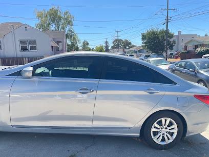 Negocio Fish Bowl Tinting