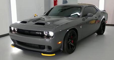 Immortal Tints