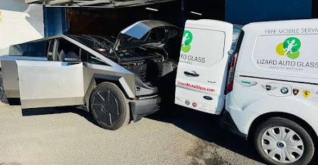 Lizard Auto Glass