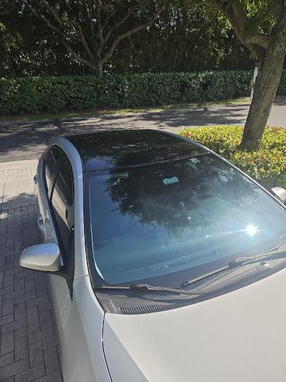 Negocio Luxe Tint Pro