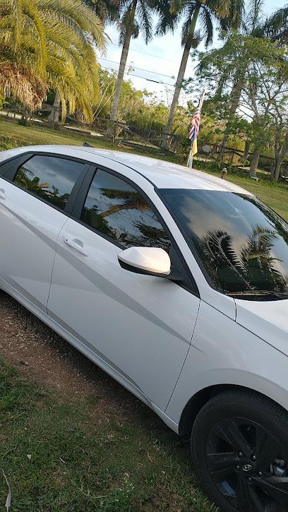 Negocio Perfection Tinting
