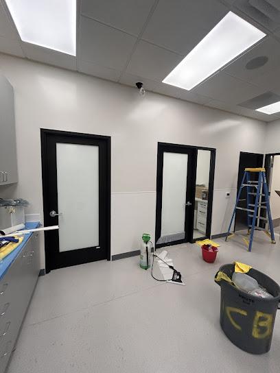 Negocio Rica’s Premium Car Protection Studio