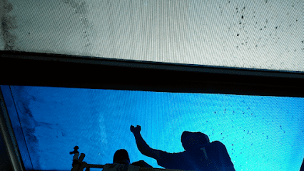 Superior Window Tinting