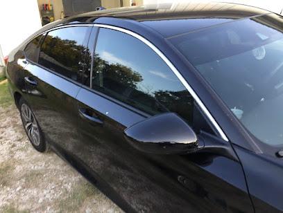 Negocio Tint Pros