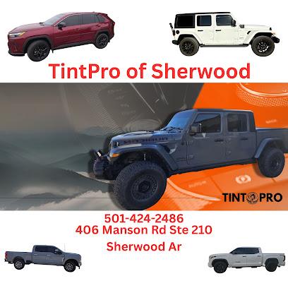 Negocio Tintpro