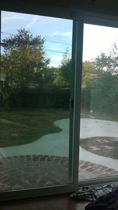 Negocio Window Tinting Mobile