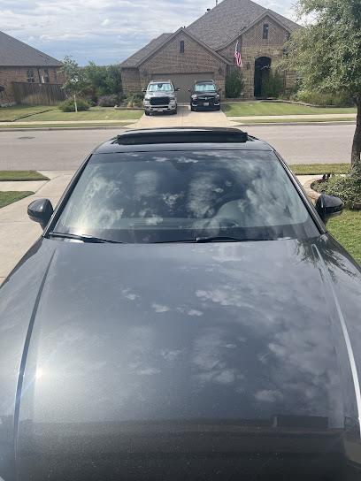 Austin Tint