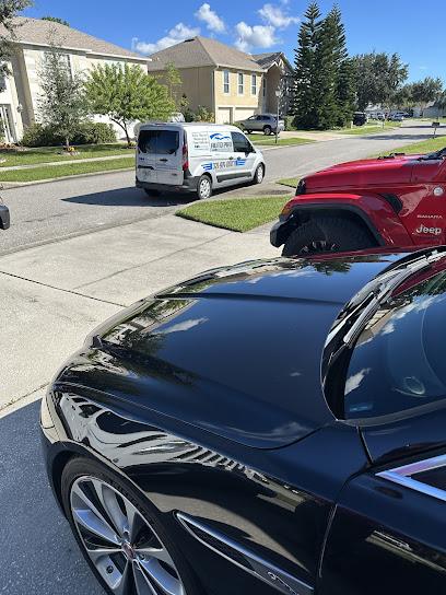 Negocio Auto Pro Detailing