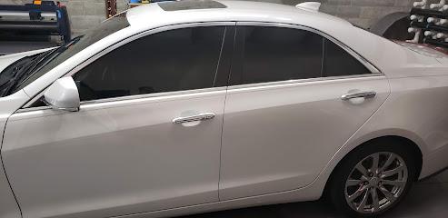 Crazy Panda Tint Shop
