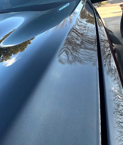 Negocio Dent Surgeon Llc