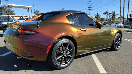 Negocio Express Vinyl Wraps