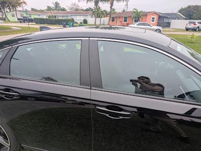Jacs Tints