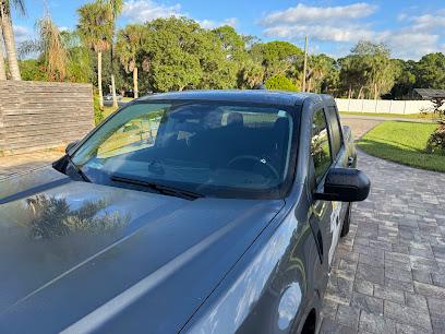 Negocio Platinum Tints Llc