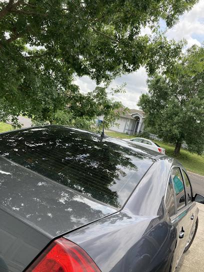 Negocio Pro Care Auto Detailing