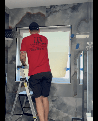 Negocio Smart Tint Solutions