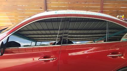 Solar Pro Tint 1