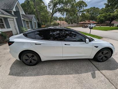 T-Rex Window Tinting