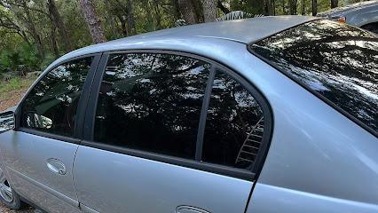 Negocio The Tint Guy